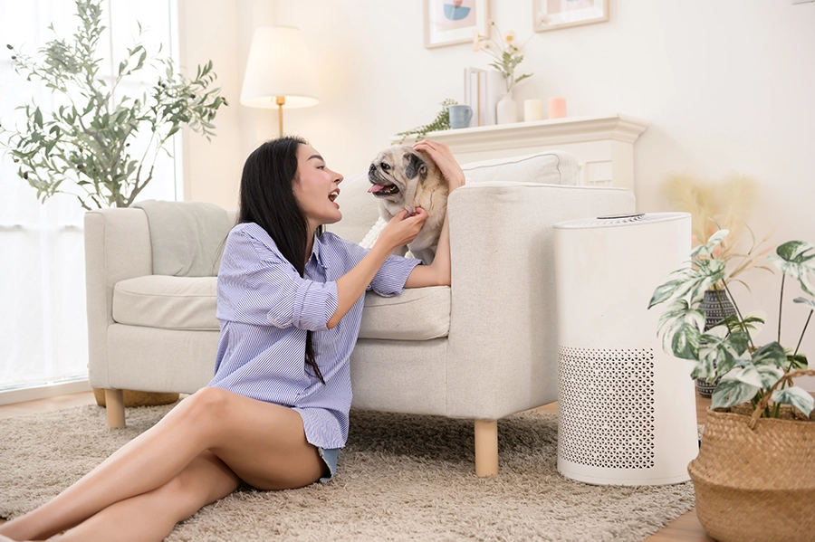 2026年打造智慧、安全家庭環境 | 電子鎖先生 2 電子門鎖推薦